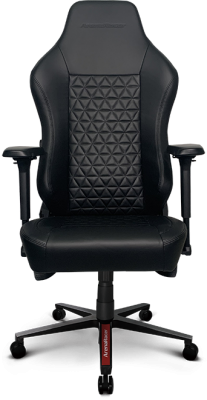 ArenaRacer Premiere gamer szék